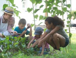 Kids playing